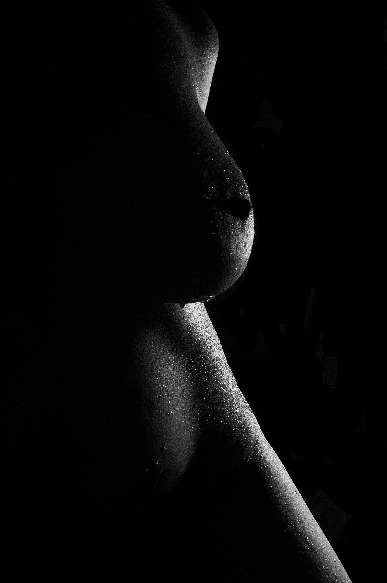 Fotos